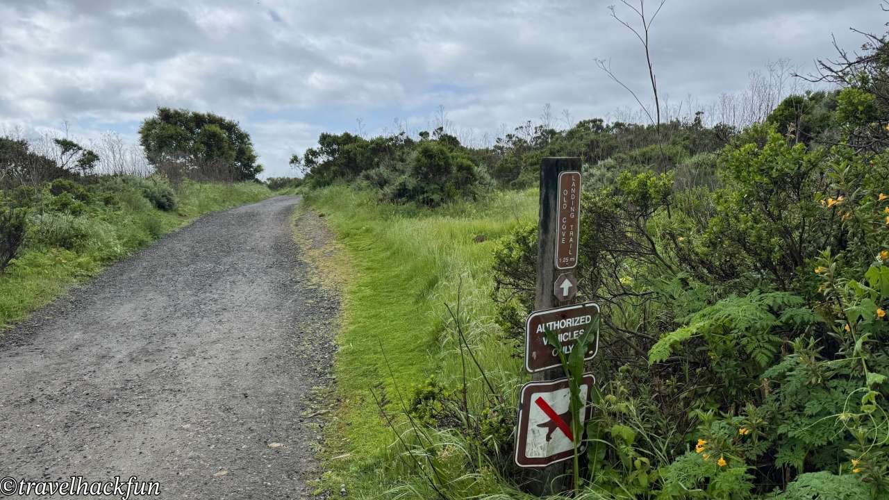 【灣區週末小旅行】聖塔克魯茲 Santa Cruz 二日遊全攻略 | 市區景點、紅木森林、懸崖步道通通有 | 全美最老的雲霄飛車,你敢坐嗎? 33 santa cruz,聖塔克魯茲 33
