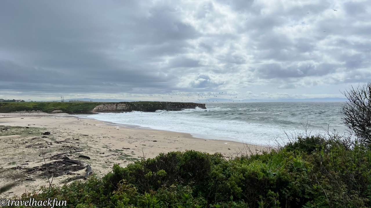 【灣區週末小旅行】聖塔克魯茲 Santa Cruz 二日遊全攻略 | 市區景點、紅木森林、懸崖步道通通有 | 全美最老的雲霄飛車,你敢坐嗎? 34 santa cruz,聖塔克魯茲 34