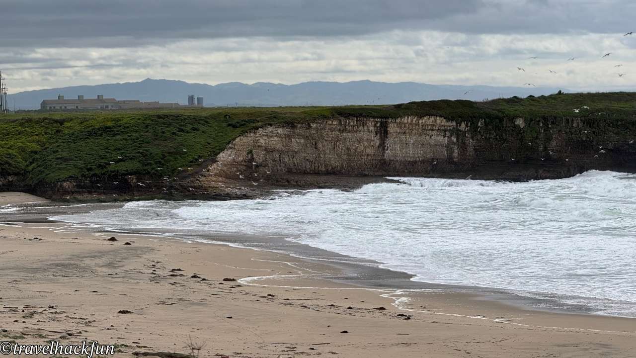 【灣區週末小旅行】聖塔克魯茲 Santa Cruz 二日遊全攻略 | 市區景點、紅木森林、懸崖步道通通有 | 全美最老的雲霄飛車,你敢坐嗎? 35 santa cruz,聖塔克魯茲 35