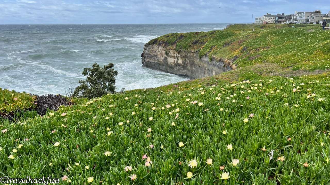 【灣區週末小旅行】聖塔克魯茲 Santa Cruz 二日遊全攻略 | 市區景點、紅木森林、懸崖步道通通有 | 全美最老的雲霄飛車,你敢坐嗎? 21 santa cruz,聖塔克魯茲 21