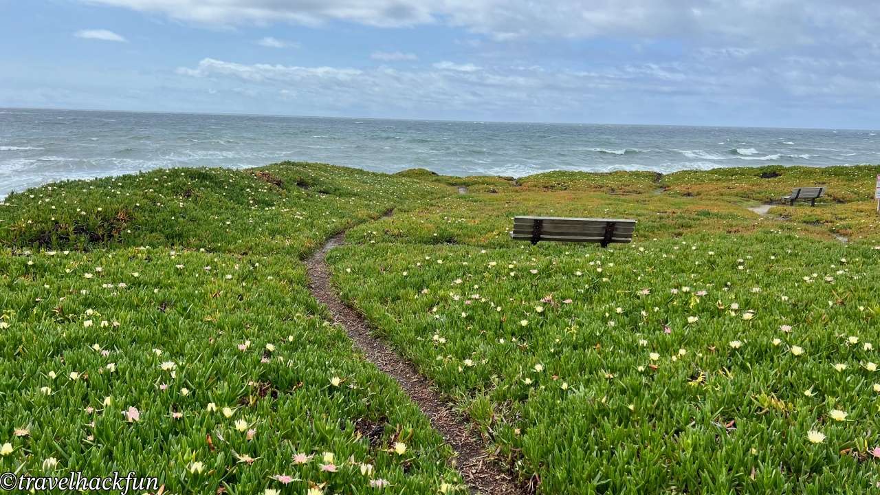 【灣區週末小旅行】聖塔克魯茲 Santa Cruz 二日遊全攻略 | 市區景點、紅木森林、懸崖步道通通有 | 全美最老的雲霄飛車,你敢坐嗎? 22 santa cruz,聖塔克魯茲 22