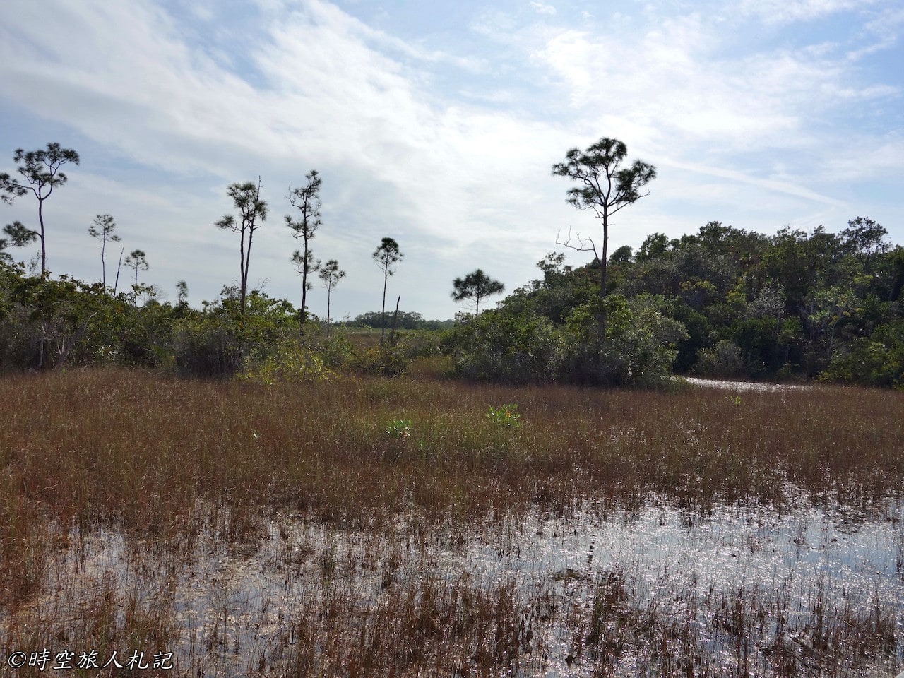 Everglades national park,大沼澤地國家公園 13