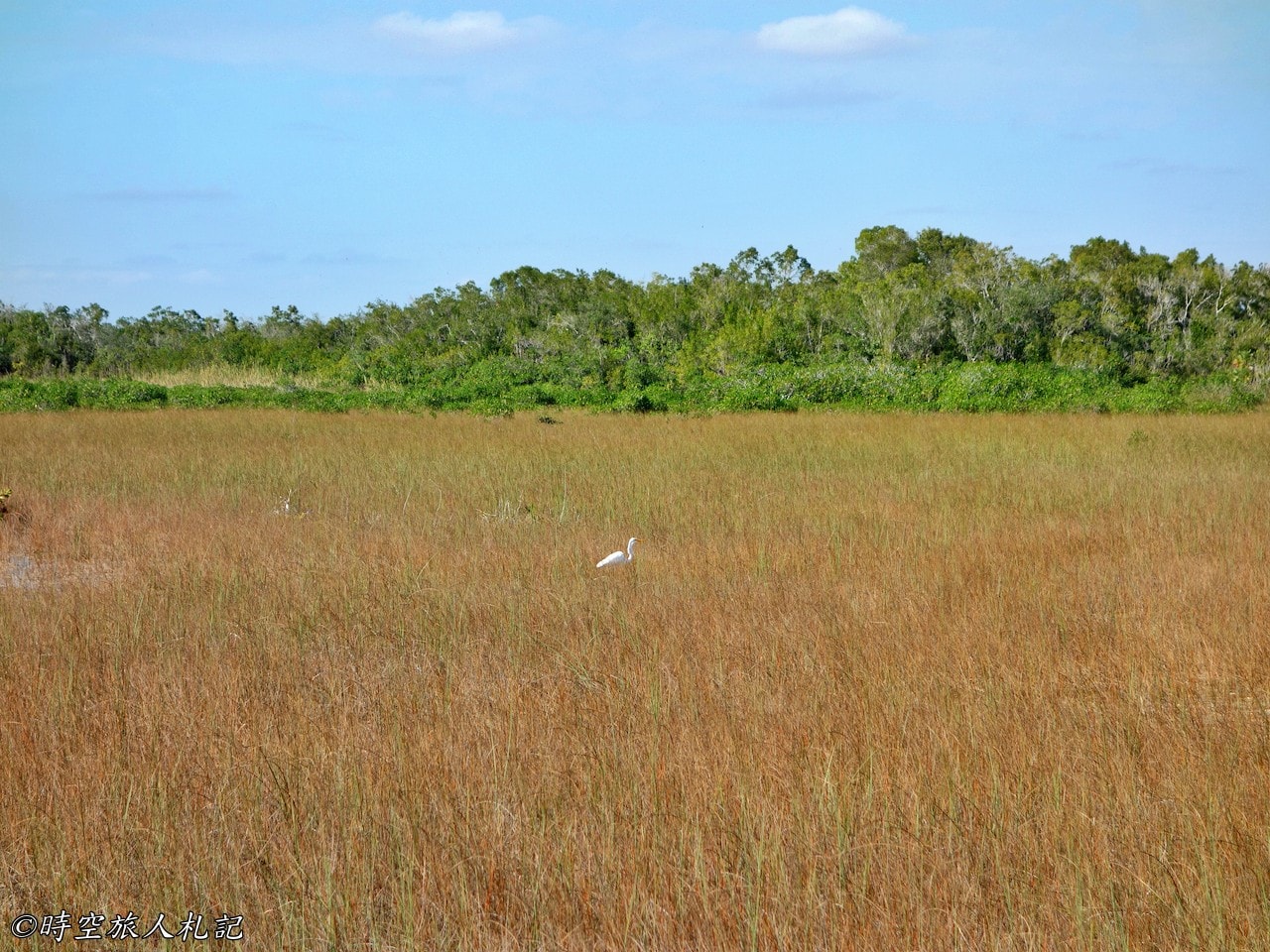 Everglades national park,大沼澤地國家公園 14