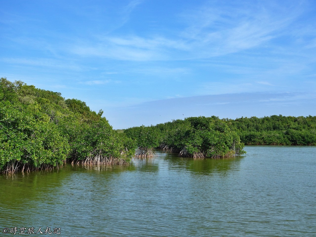 大沼澤地國家公園,Shark Valley,Gulf coast,Everglades national park,沼澤生態 16