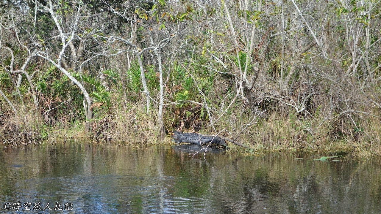 Everglades national park,大沼澤地國家公園 24