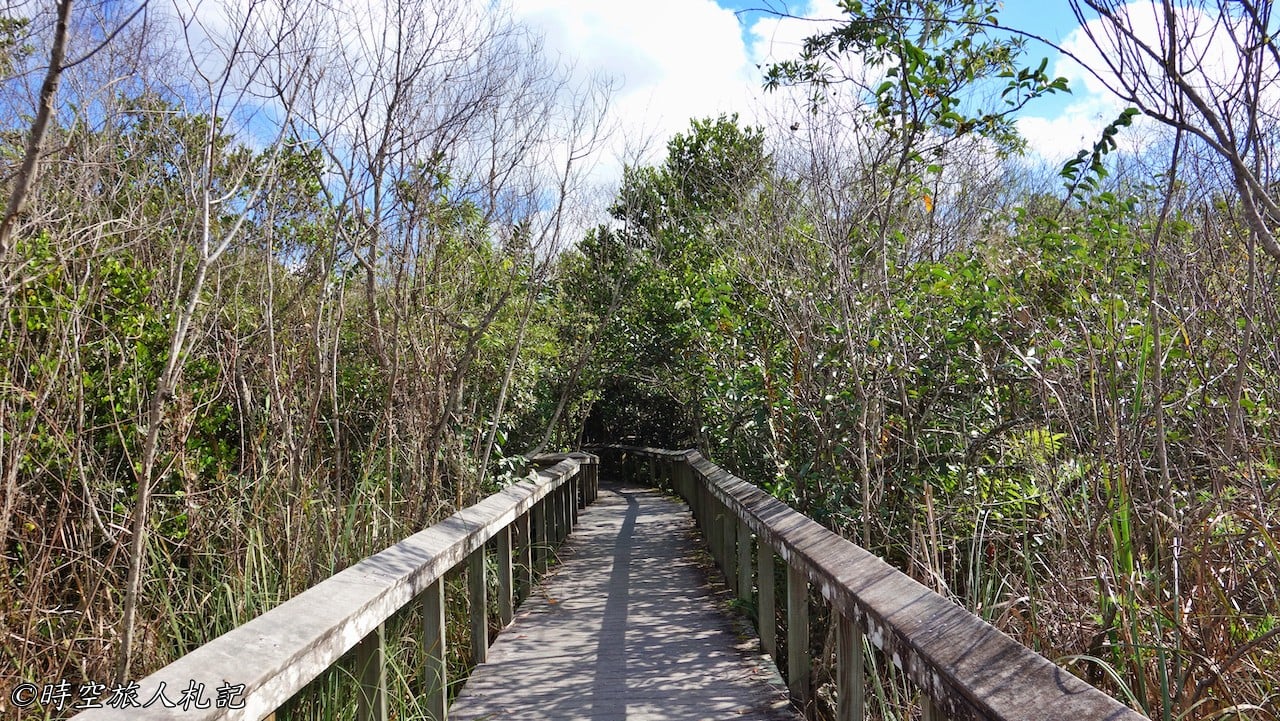 Everglades national park,大沼澤地國家公園 22
