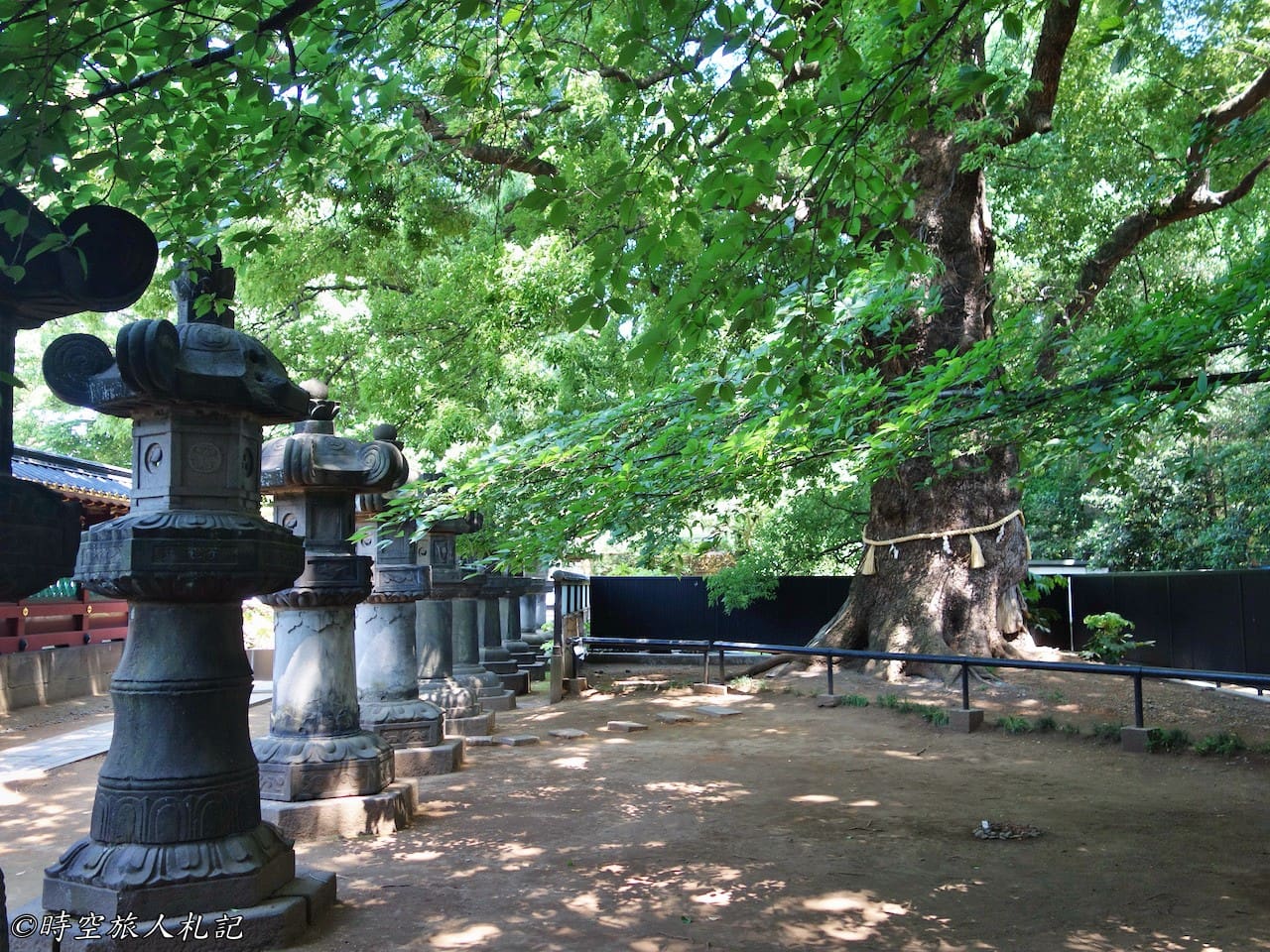 上野公園,上野東照宮,花園稻荷神社,五重塔,不忍池 3