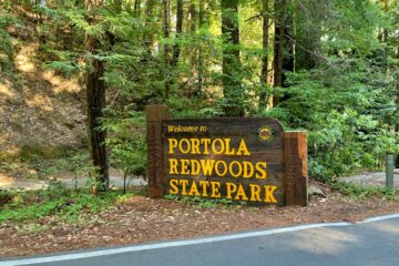 Portola redwood state park
