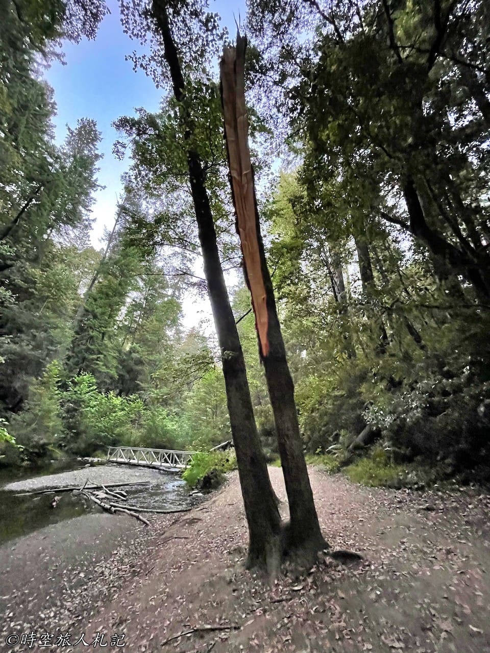 Portola redwood state park,Portola redwood camping,Tiptoe falls 23