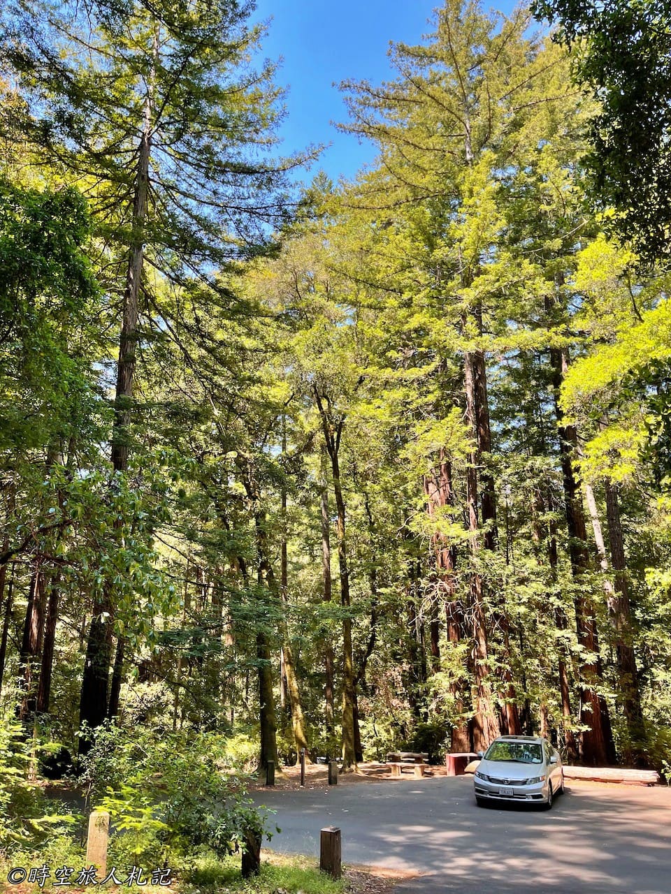 Portola redwood state park,Portola redwood campground,Tiptoe falls 12