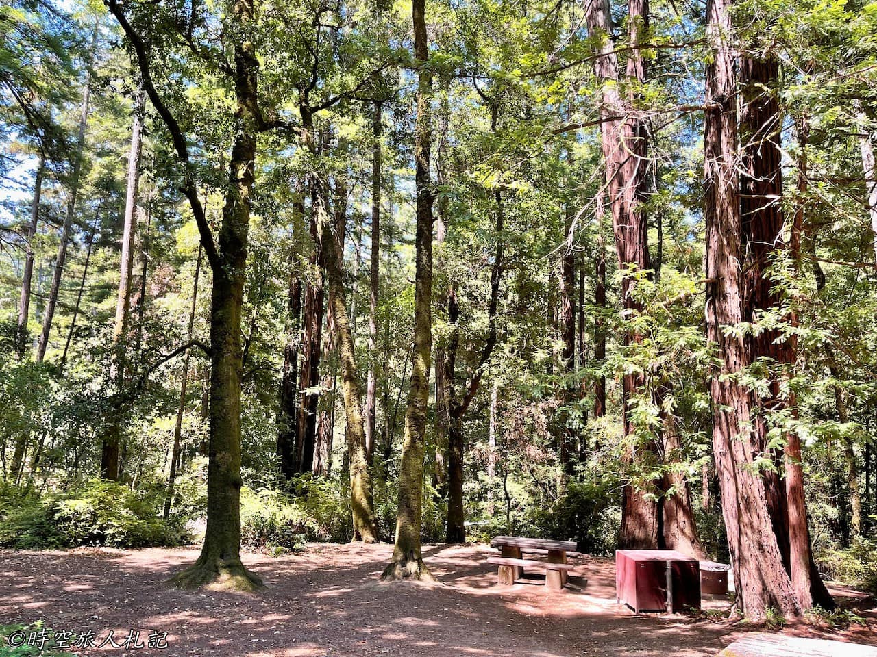 Portola redwood state park,Portola redwood 露營,Tiptoe falls 13
