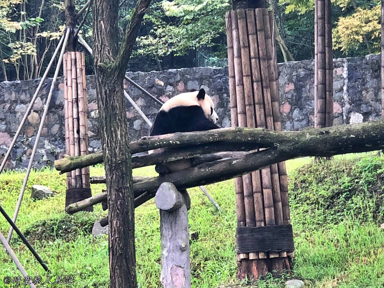 熊貓樂園 3