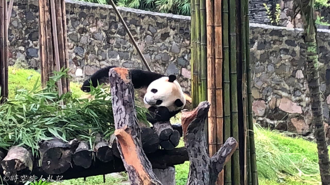 Chengdu Panda Paradise