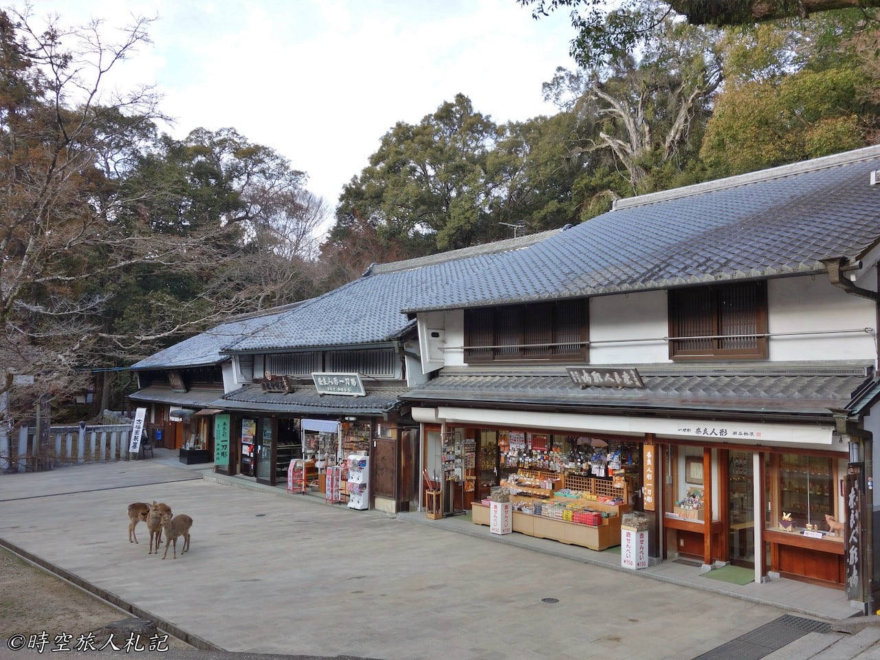 奈良,奈良一日遊,奈良景點 25