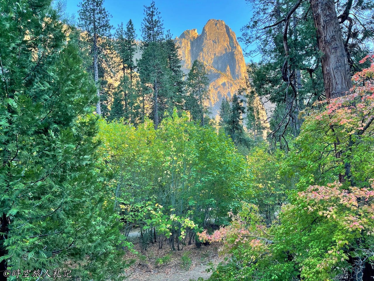 Yosemite national park,優勝美地國家公園 4