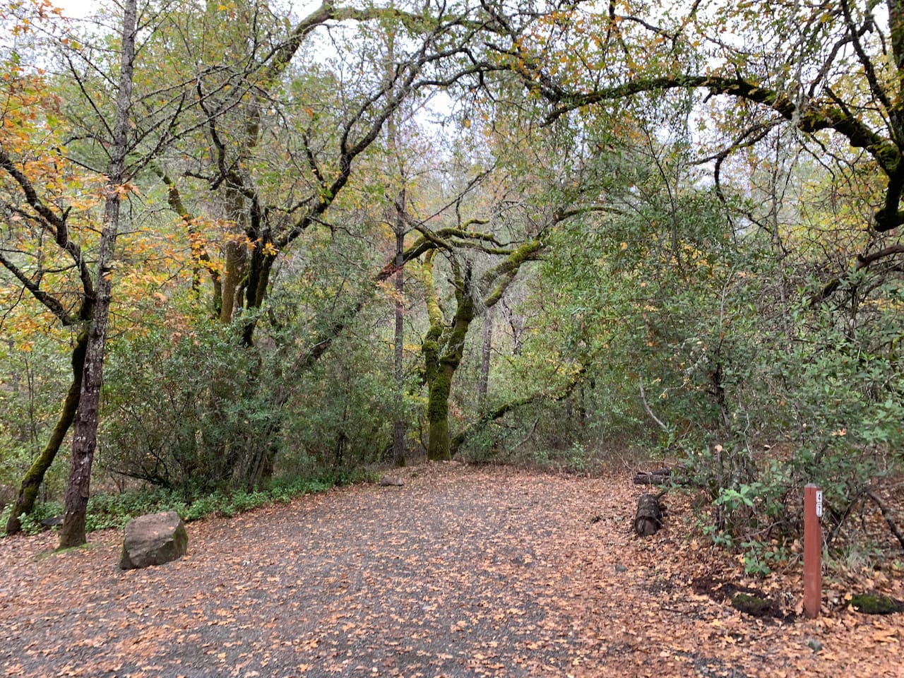 Bothe-Napa Valley State Park 1