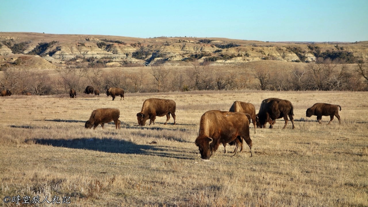 Theodore roosevelt national park,north unit,羅斯福國家公園 6