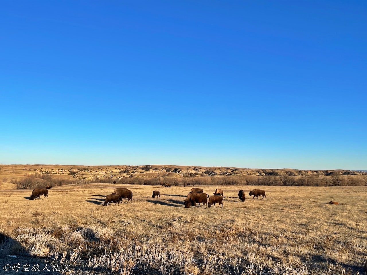 Theodore roosevelt national park,north unit,羅斯福國家公園 10