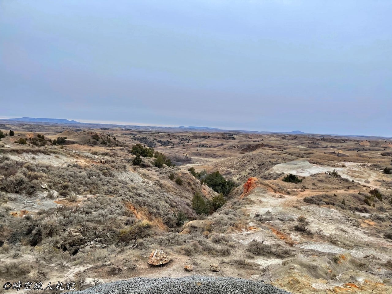 Theodore roosevelt national park,Petrified forest,羅斯福國家公園,石化林 4