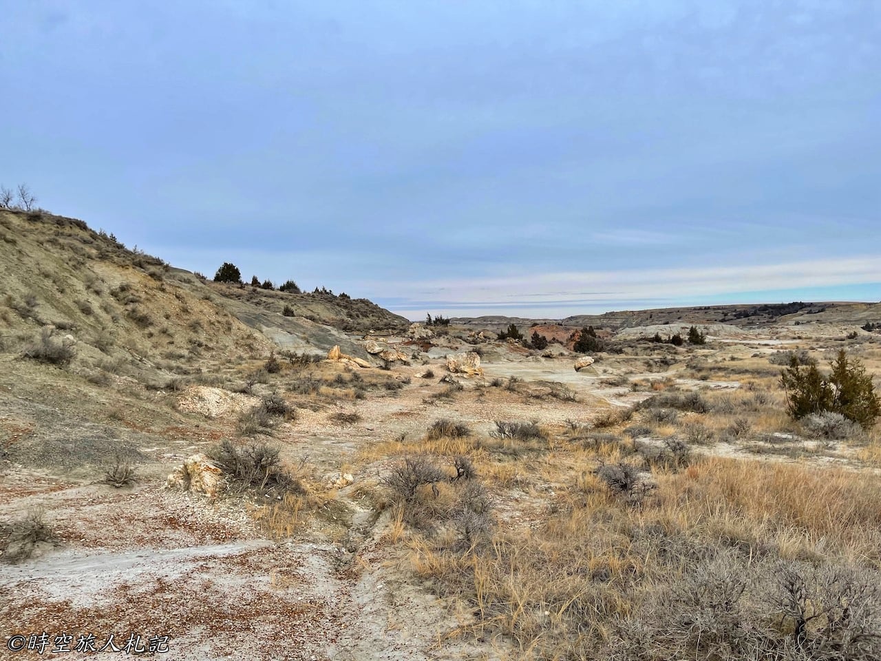 Theodore roosevelt national park,Petrified forest,羅斯福國家公園,石化林 12