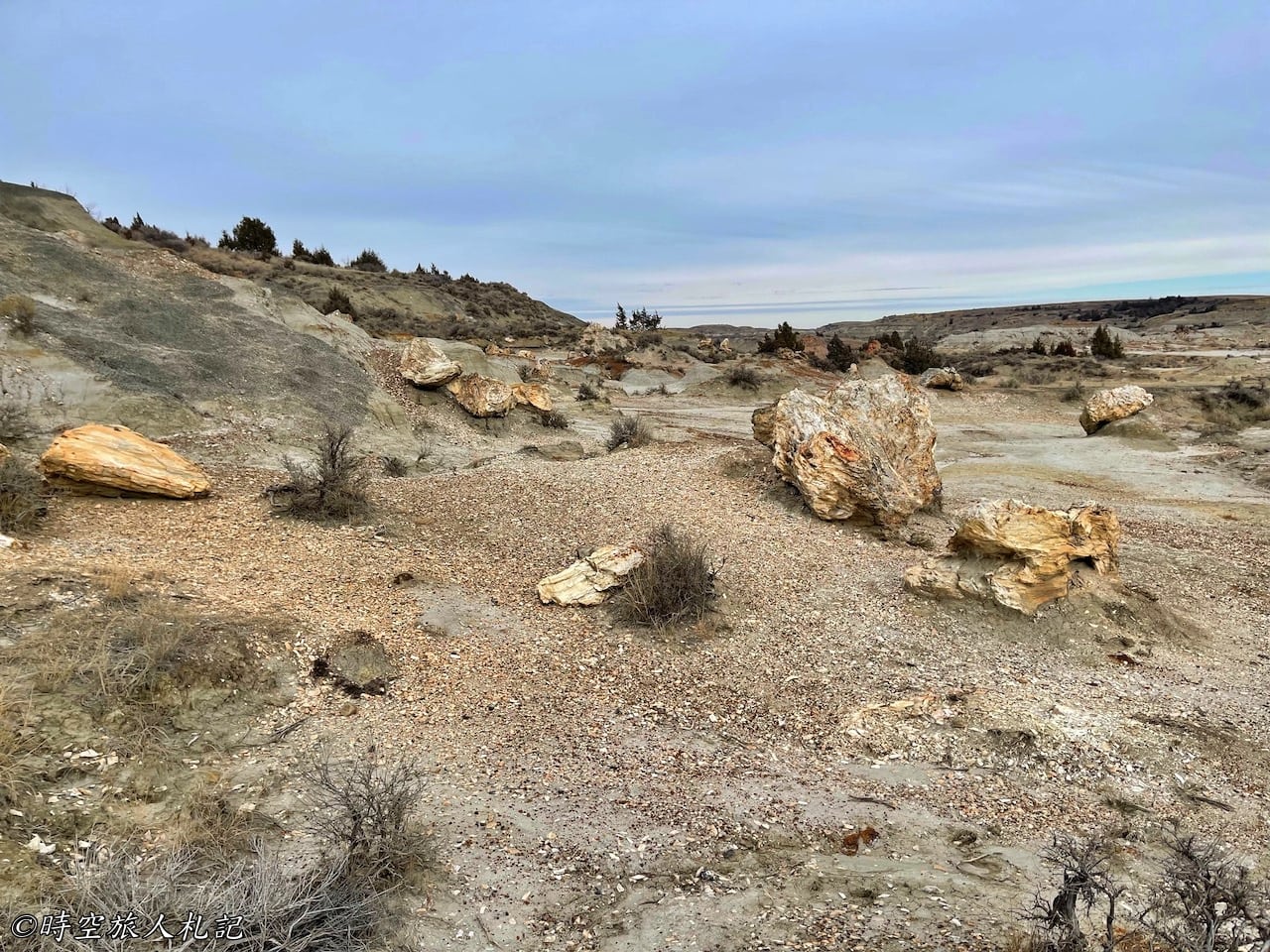 Theodore roosevelt national park,Petrified forest,羅斯福國家公園,石化林 13