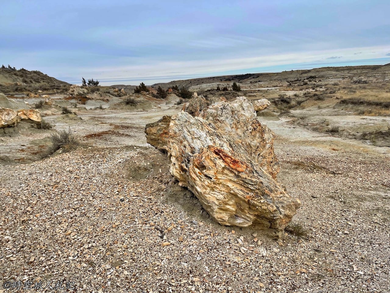 Theodore roosevelt national park,Petrified forest,羅斯福國家公園,石化林 14