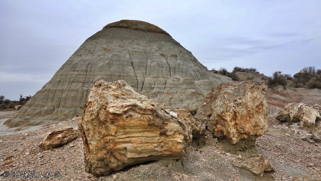 Theodore roosevelt national park,Petrified forest,羅斯福國家公園,石化林 16