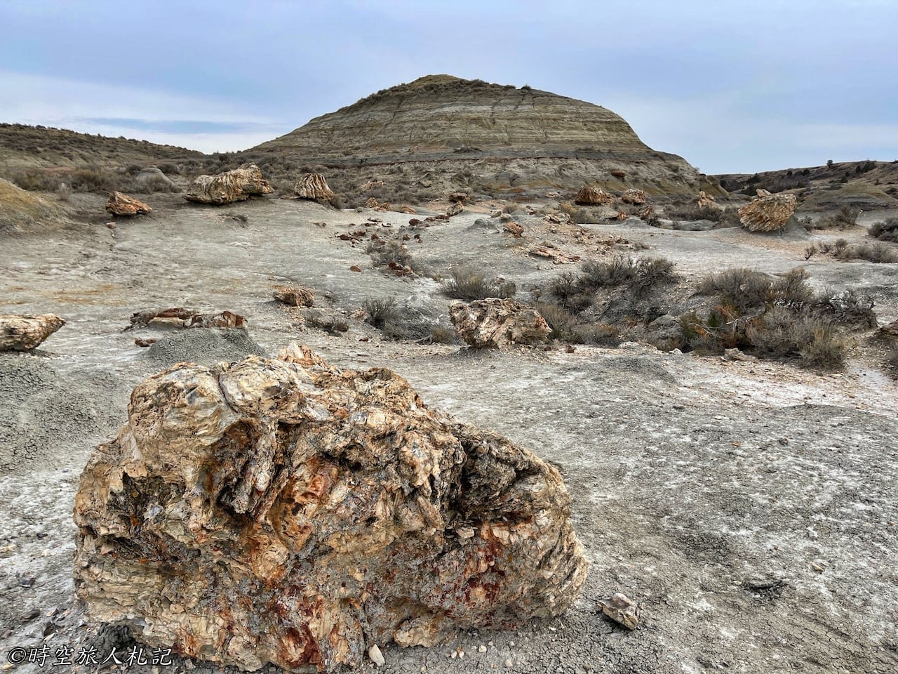 Theodore roosevelt national park,Petrified forest,羅斯福國家公園,石化林 17