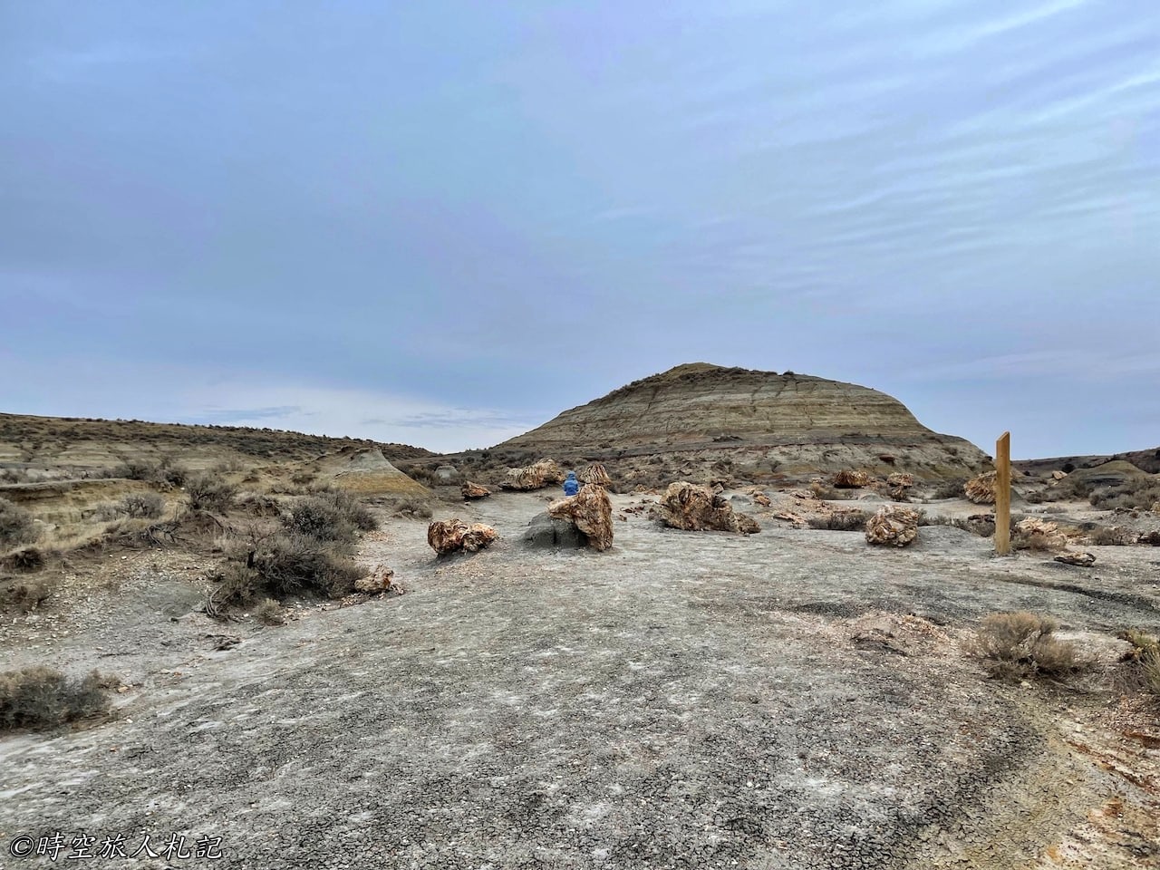 Theodore roosevelt national park,Petrified forest,羅斯福國家公園,石化林 22
