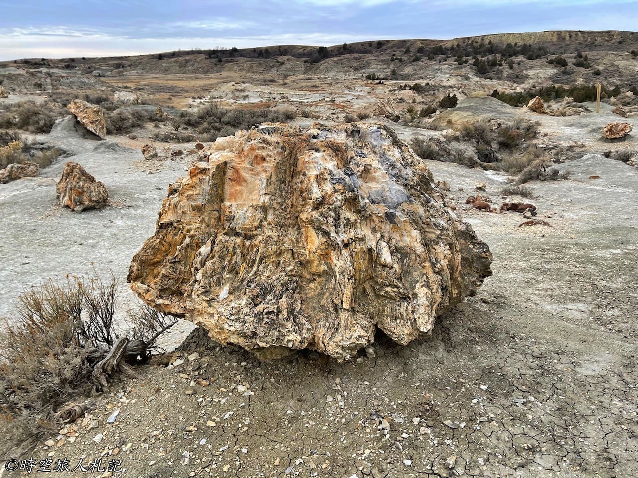 Theodore roosevelt national park,Petrified forest,羅斯福國家公園,石化林 24