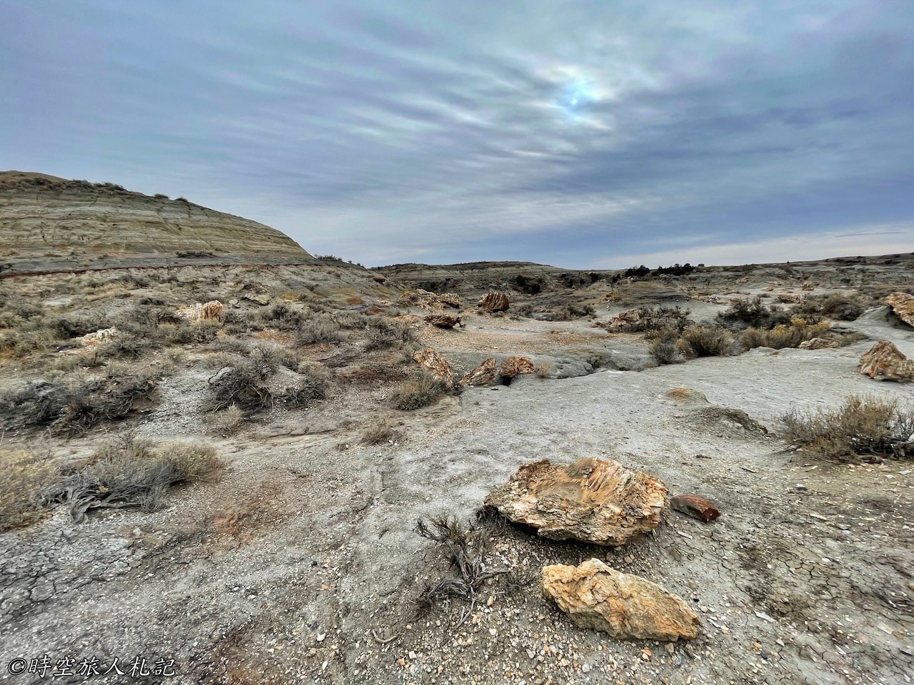 Theodore roosevelt national park,Petrified forest,羅斯福國家公園,石化林 25