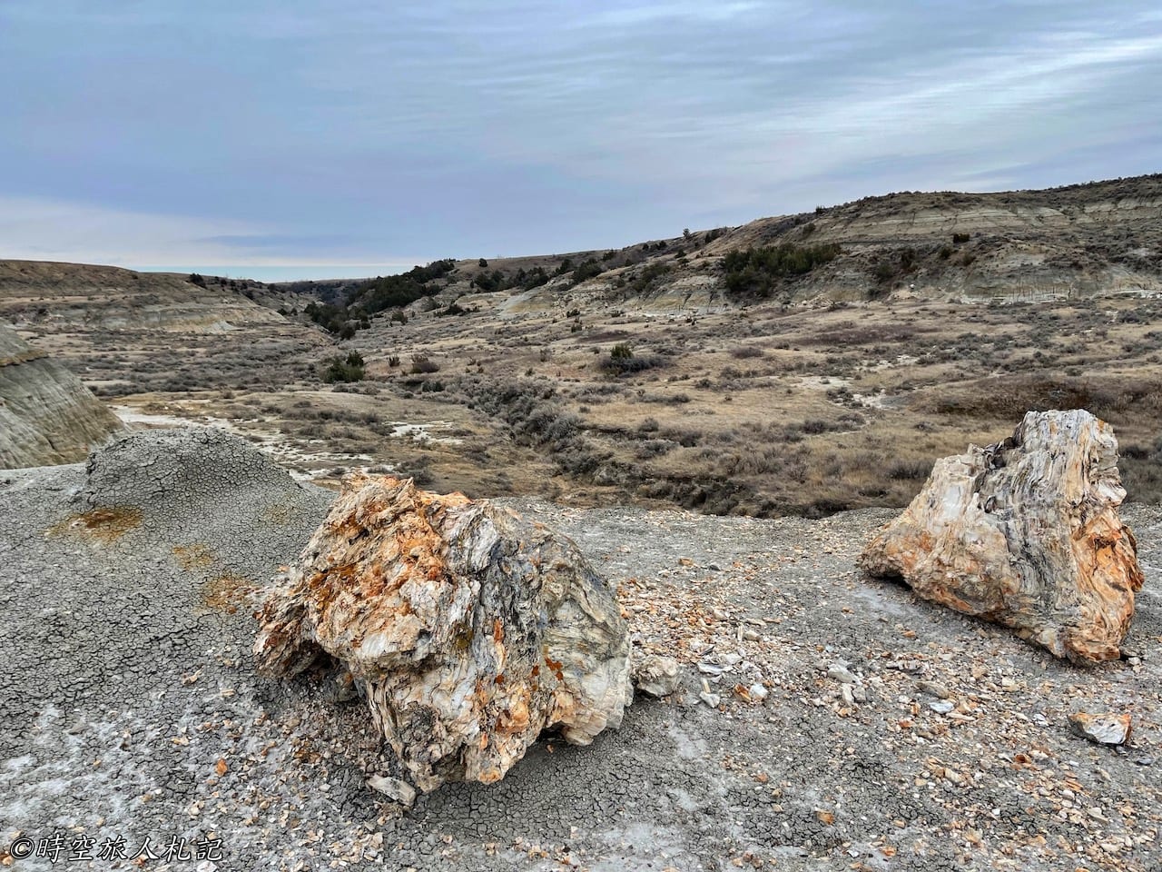 Theodore roosevelt national park,Petrified forest,羅斯福國家公園,石化林 26