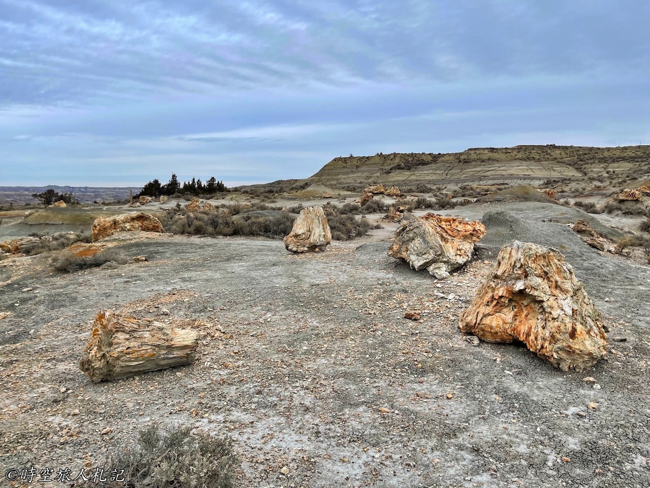 Theodore roosevelt national park,Petrified forest,羅斯福國家公園,石化林 29