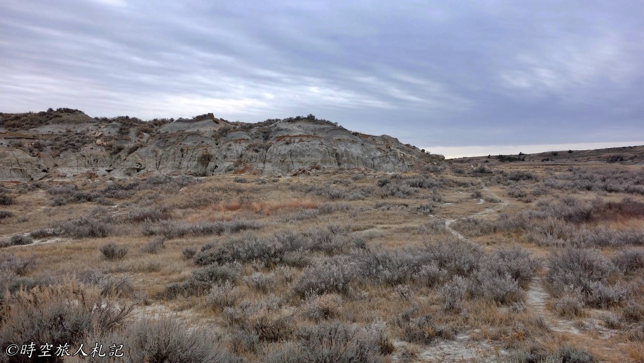 Theodore roosevelt national park,Petrified forest,羅斯福國家公園,石化林 7