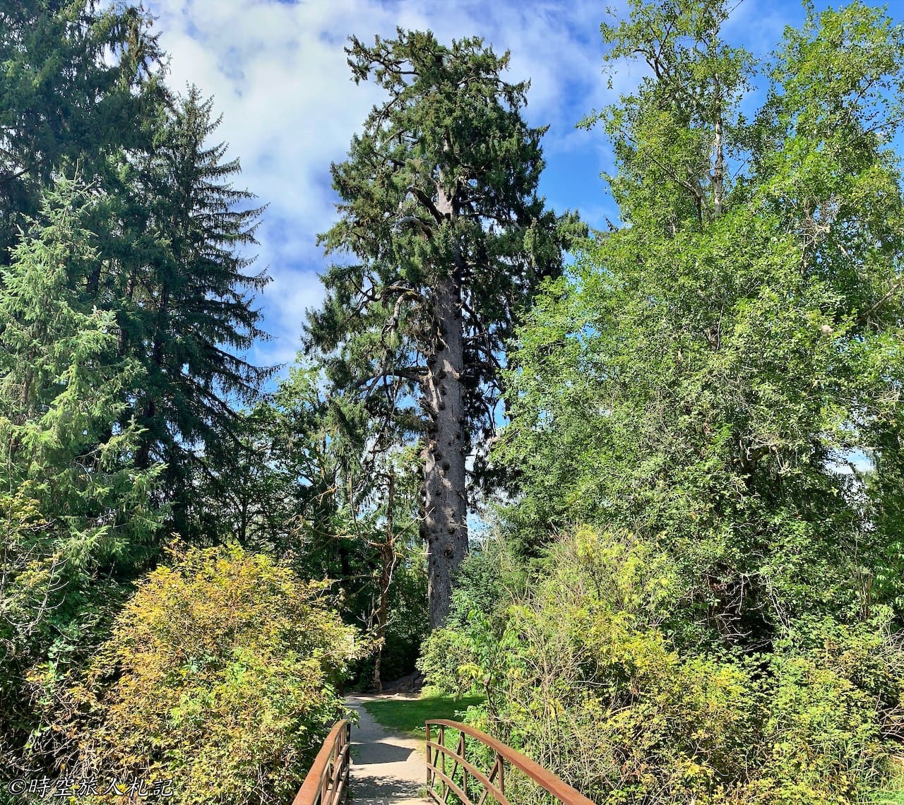 Olympic national park,奧林匹克國家公園 5