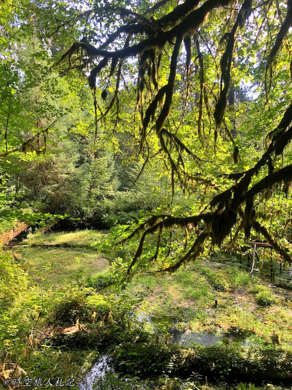 Olympic national park,奧林匹克國家公園 20