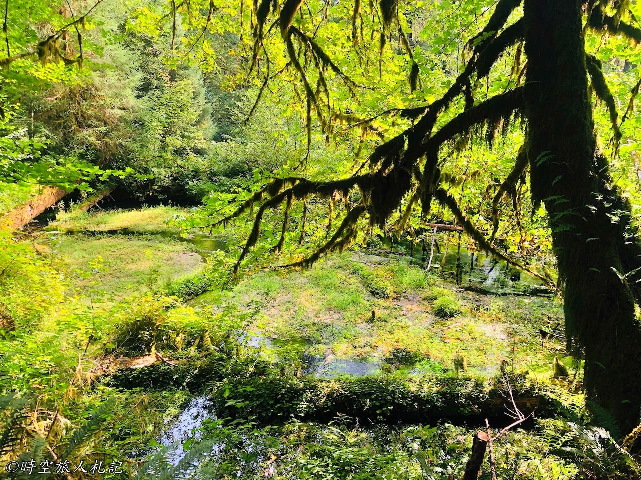 Olympic national park,奧林匹克國家公園 14