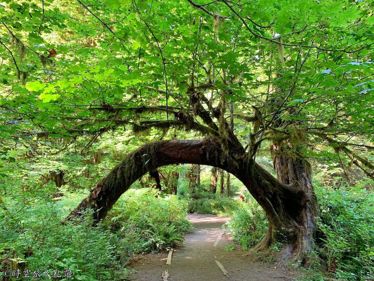 Olympic national park,奧林匹克國家公園 15