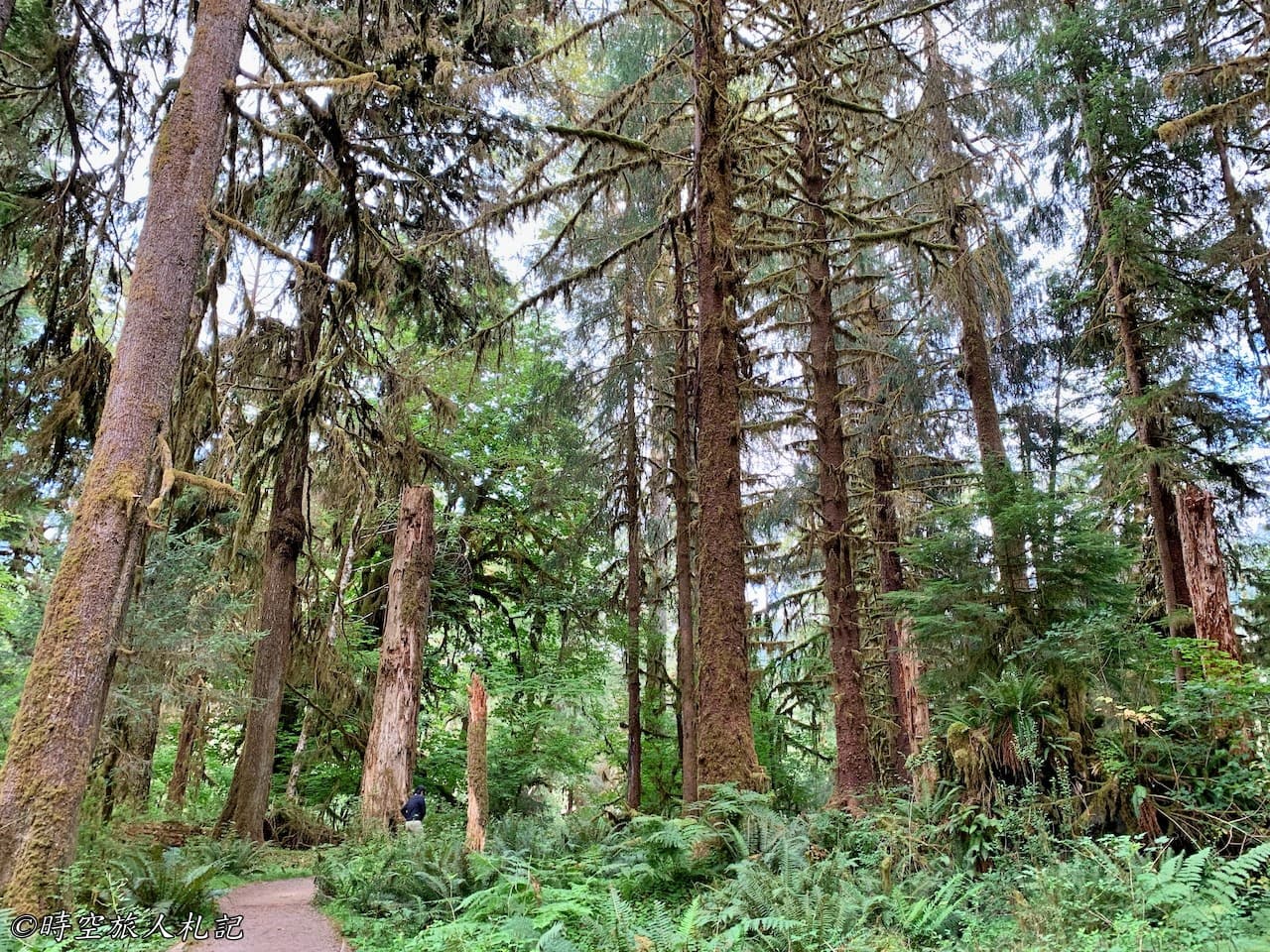 Olympic national park,奧林匹克國家公園 16