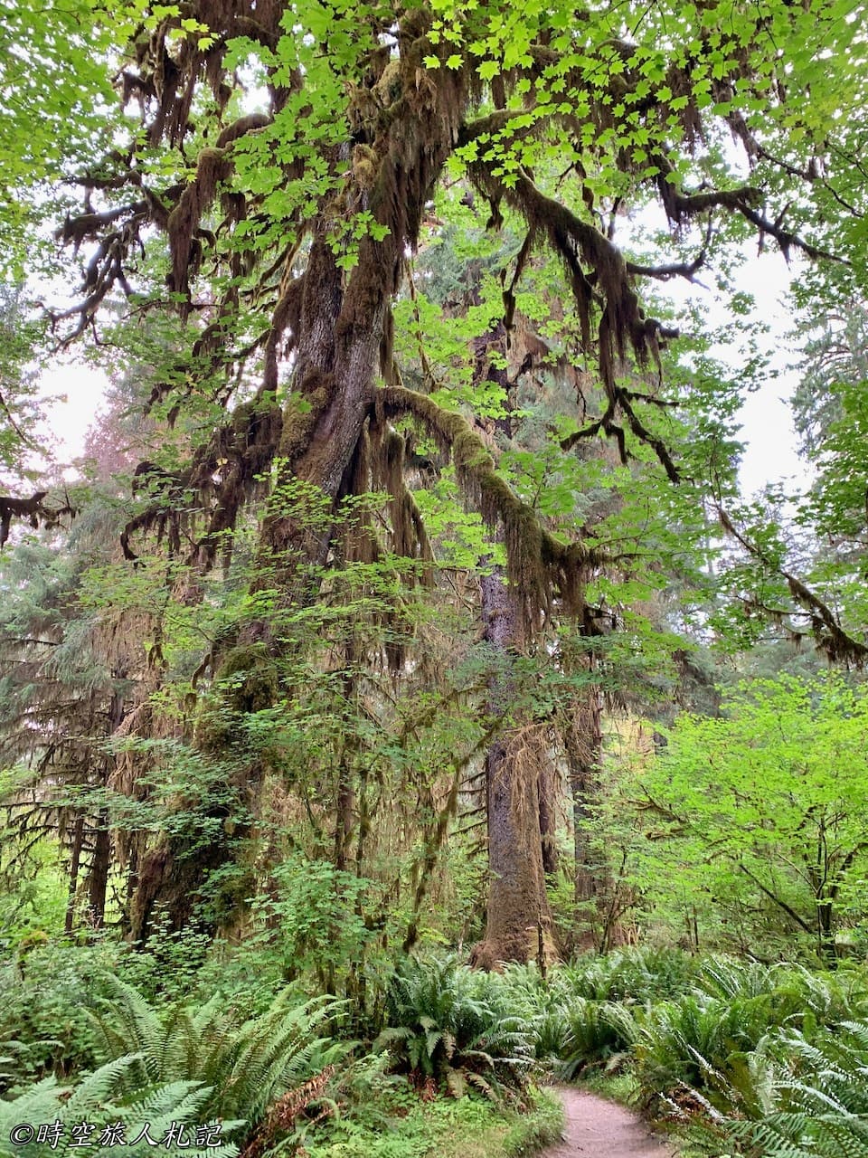 Olympic national park,奧林匹克國家公園 24