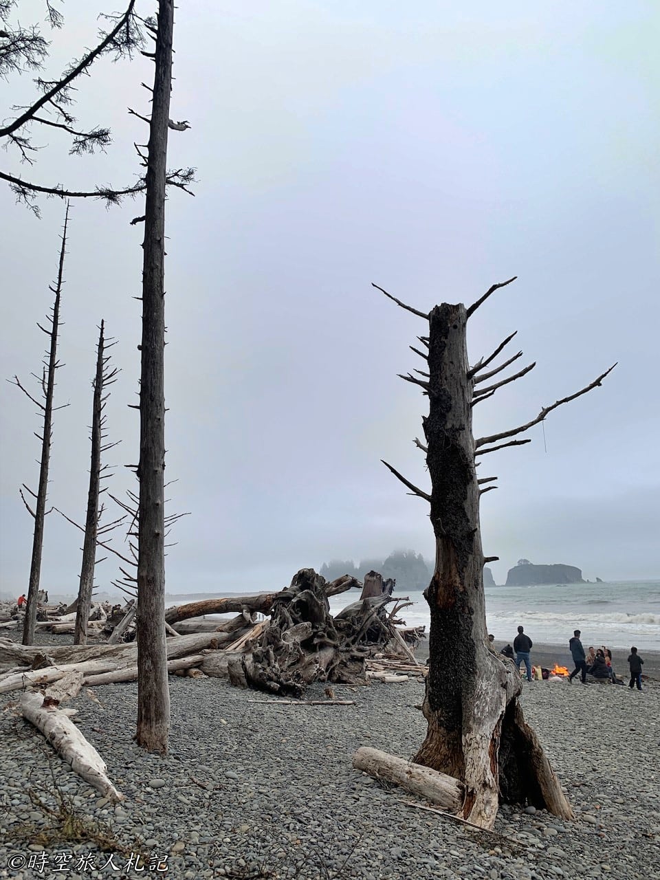 Olympic national park 31