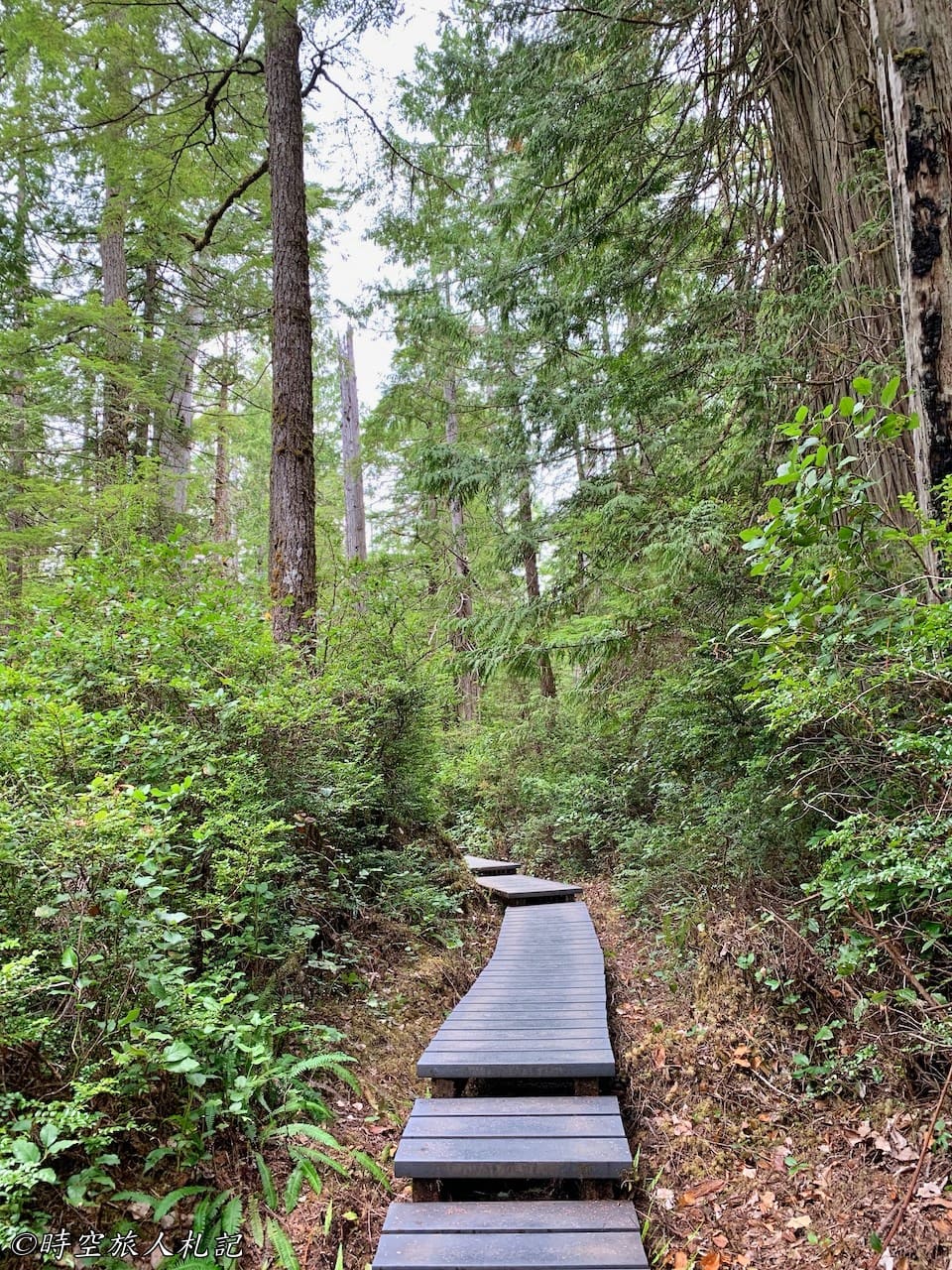 Olympic national park,奧林匹克國家公園 35