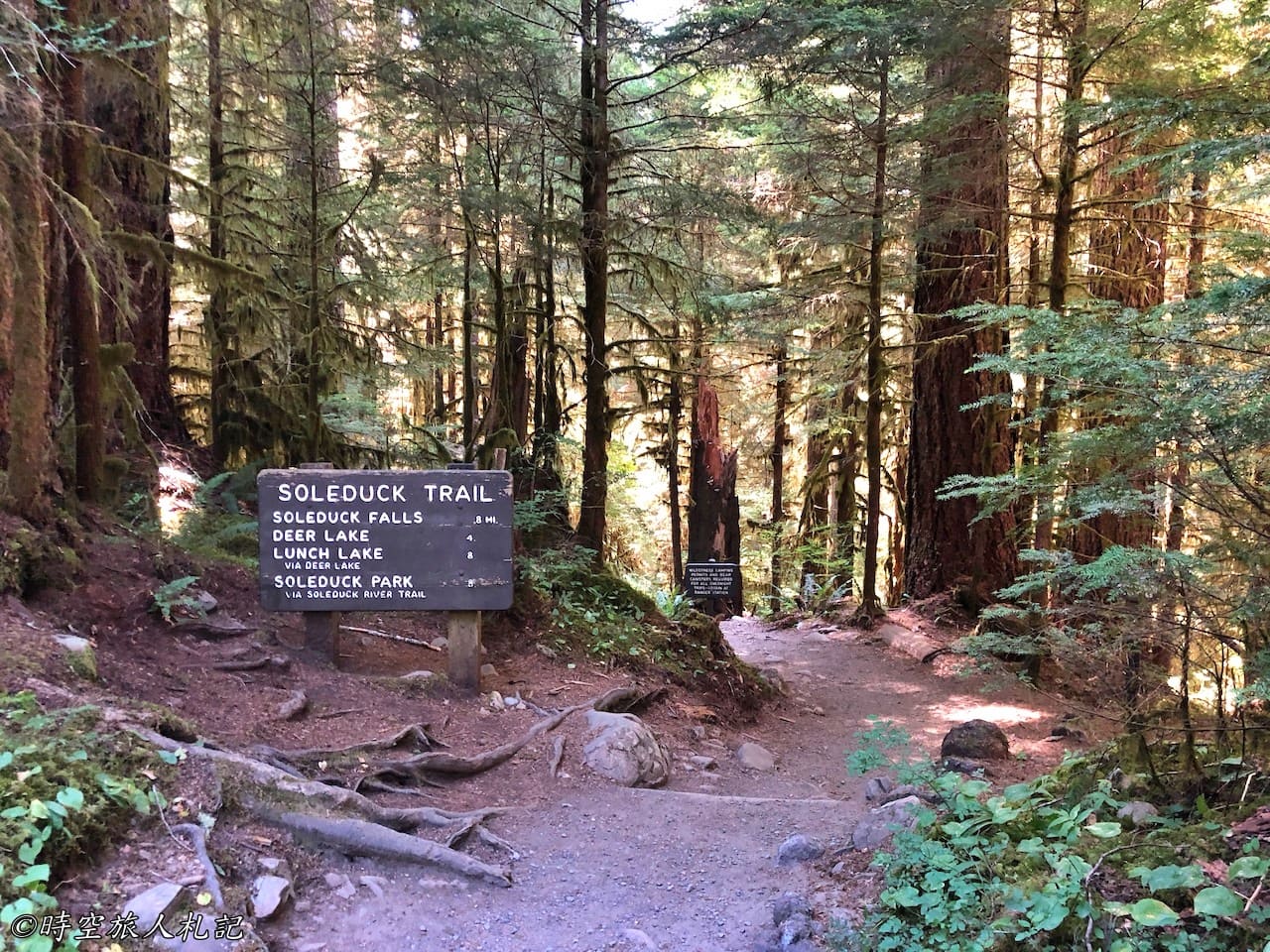 Olympic national park,奧林匹克國家公園 55