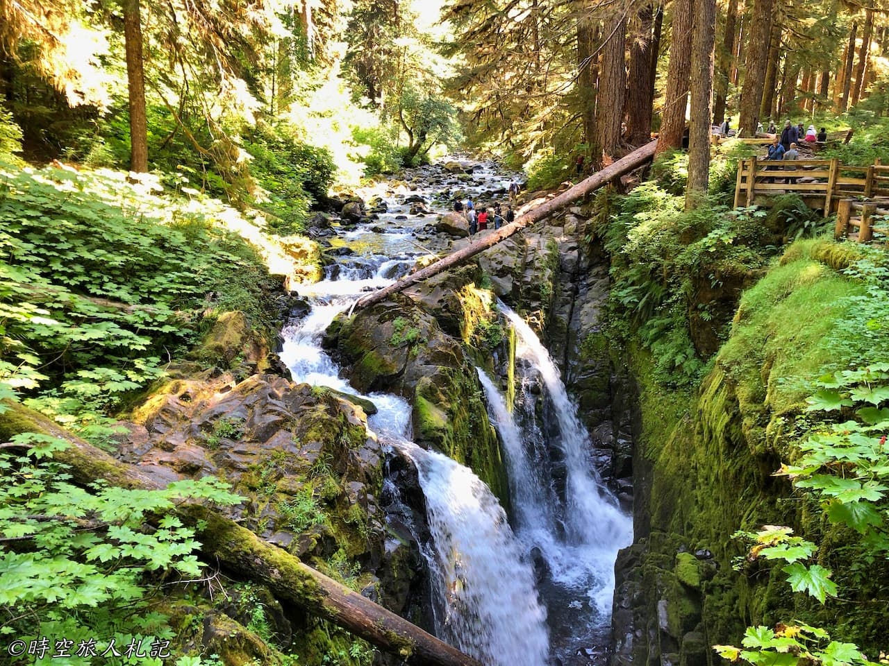 Olympic national park,奧林匹克國家公園 58