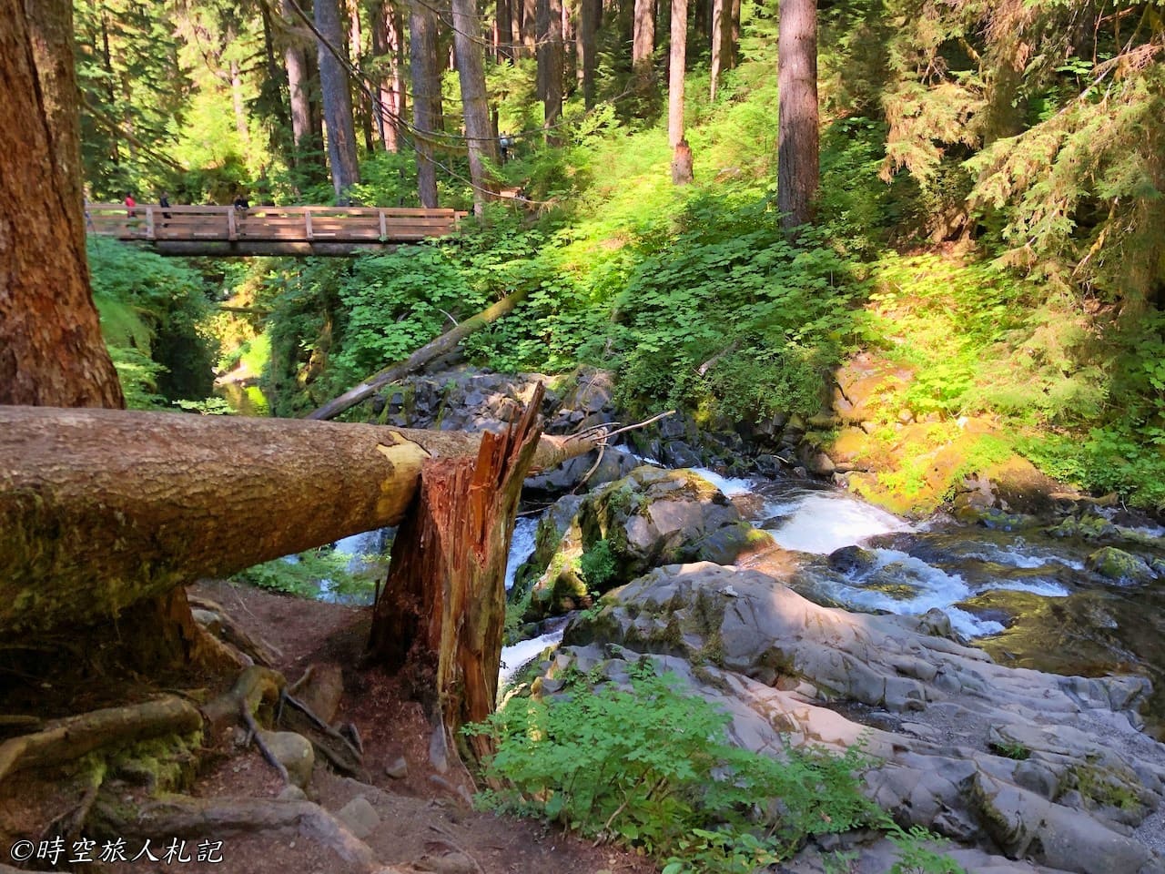 Olympic national park,奧林匹克國家公園 52