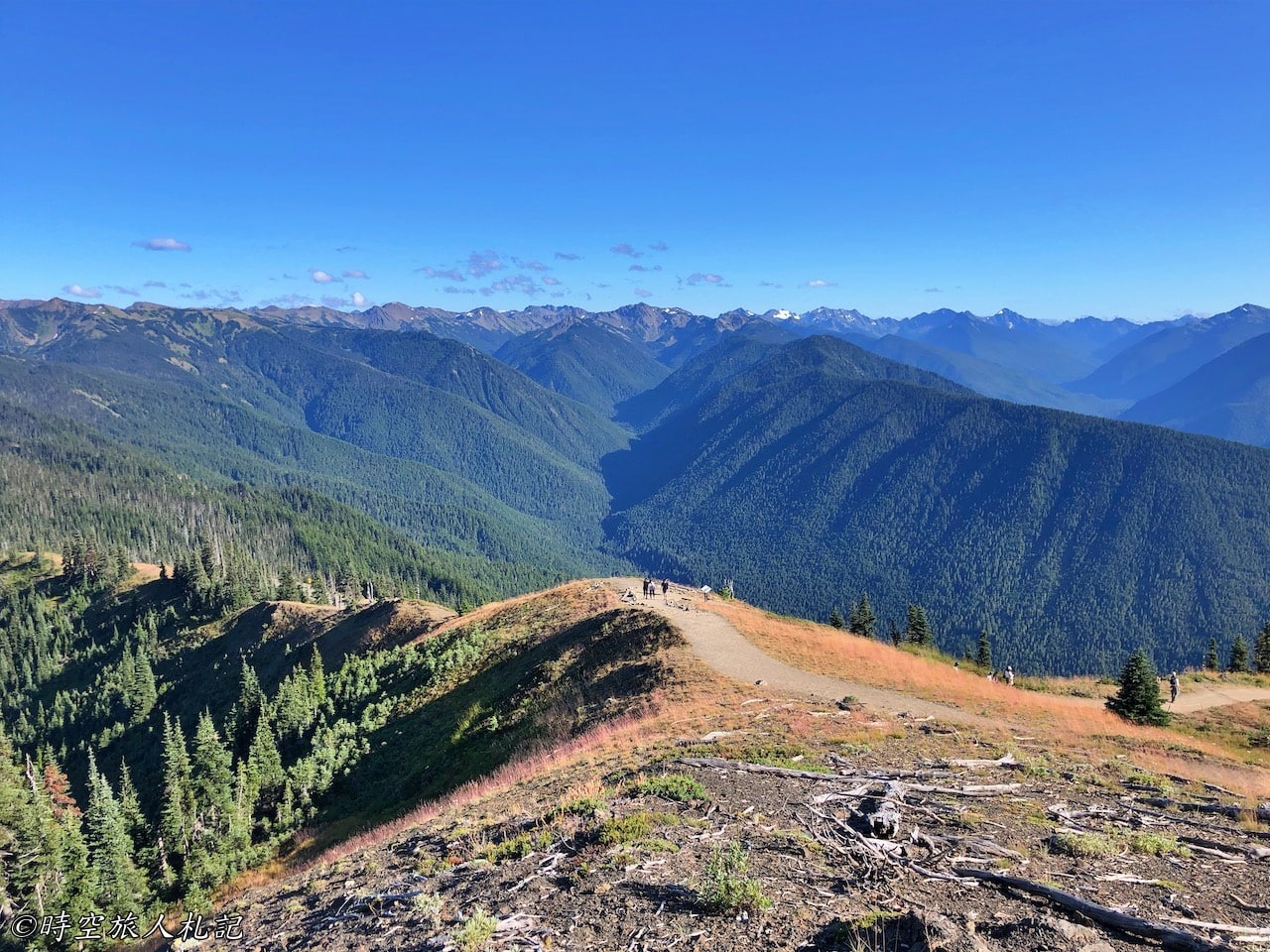 Olympic national park,奧林匹克國家公園 71