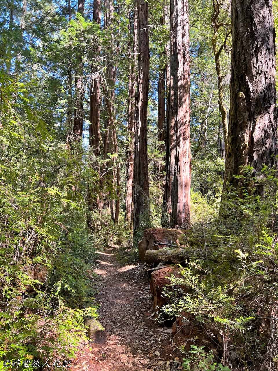 Portola redwood state park,Portola redwood 露營,Tiptoe falls 27