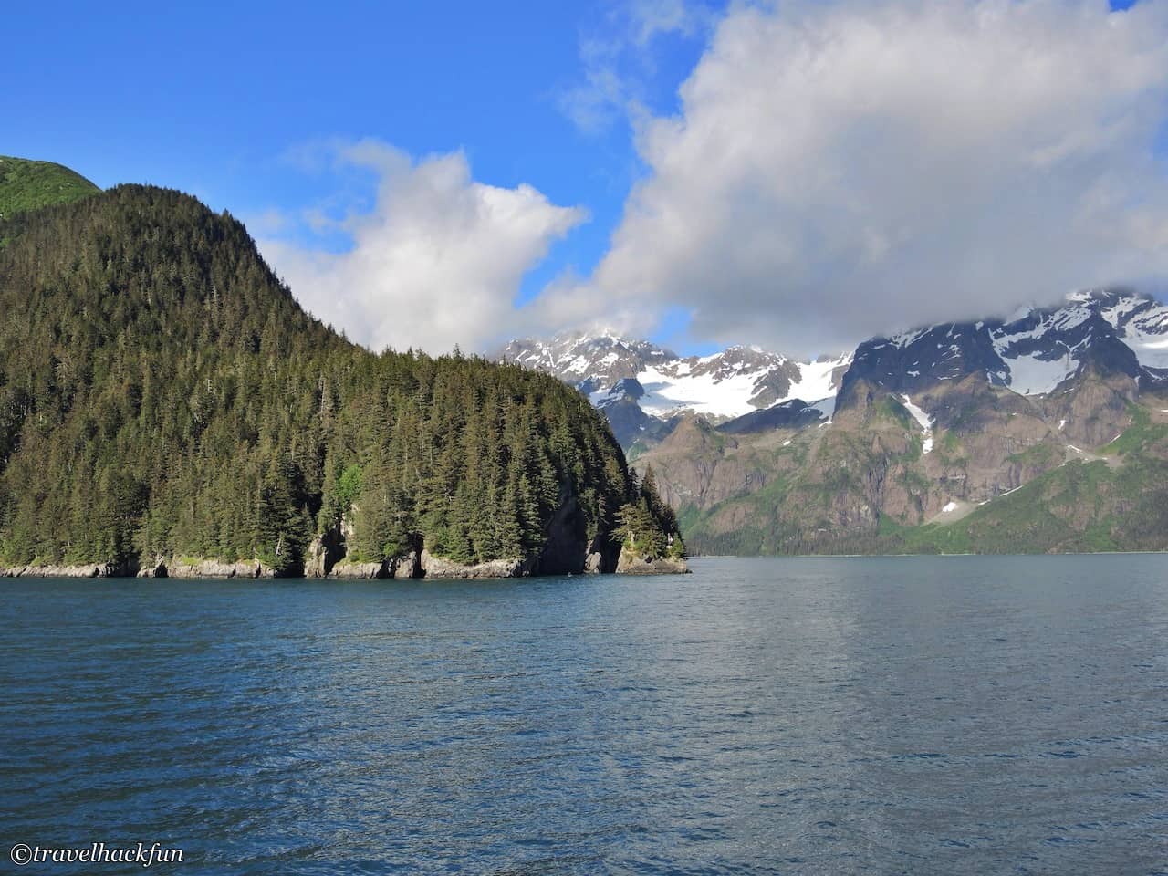 Kenai Fjords National Park,Exit glacier,Seward,Major Marine Tour,Van Glider Hotel 32