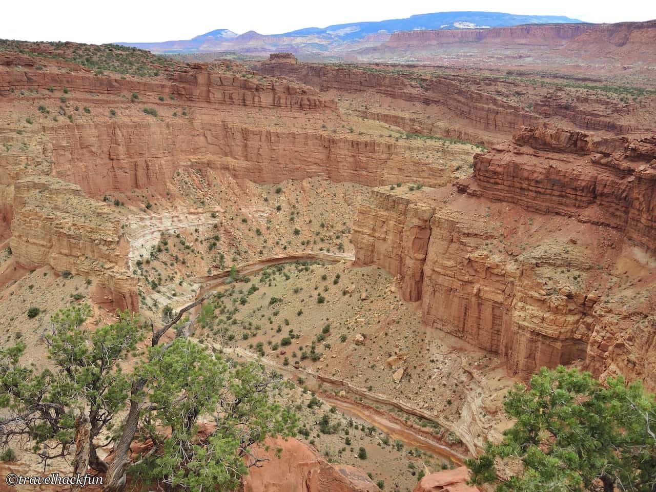 capitol reef national park, dome reef national park 14