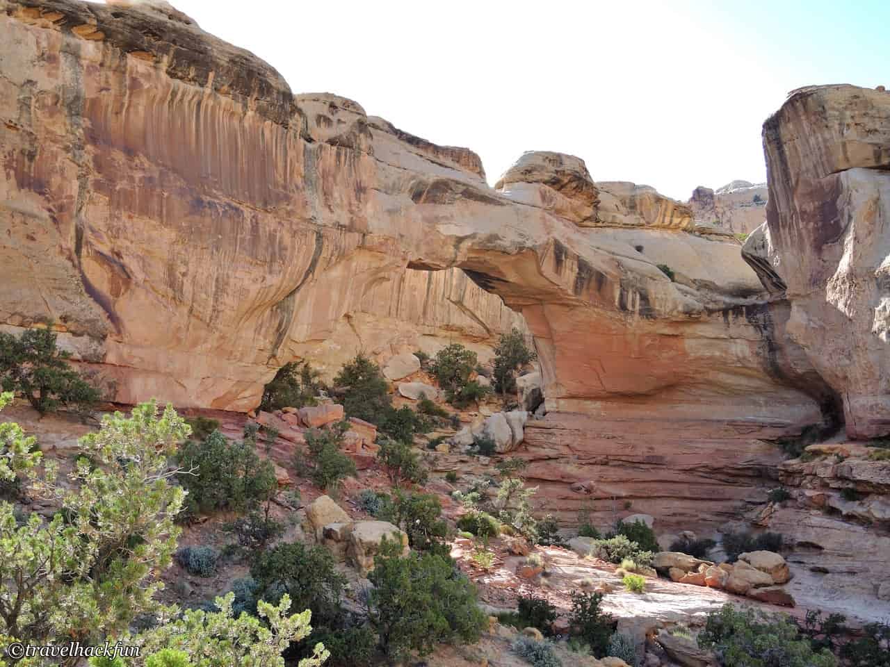 Capitol Reef National Park, Dome Reef National Park 65